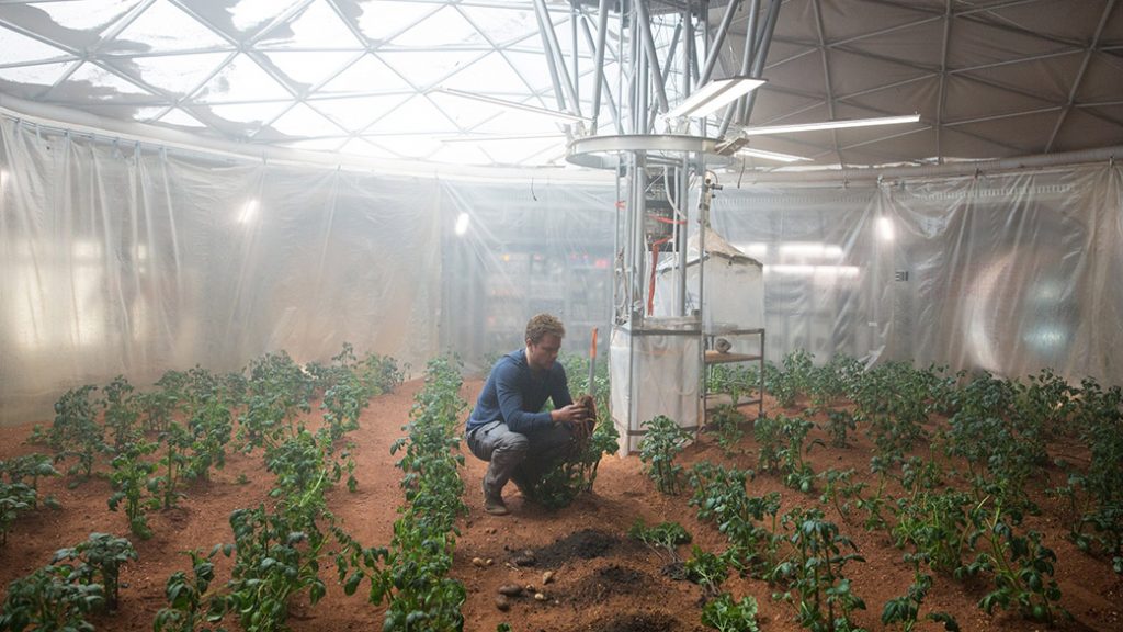 ฟาร์มปลูกผักบนดาวอังคาร1