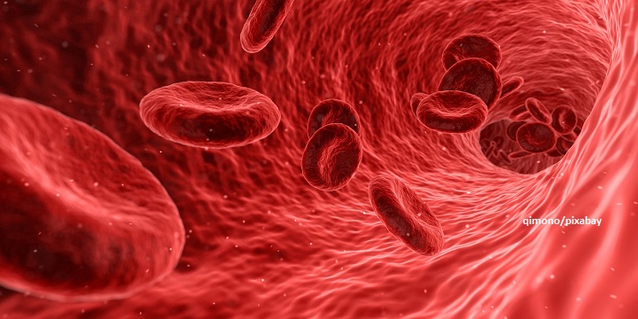 เซลล์เม็ดเลือดแดง