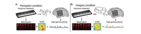 เกิดอะไรขึ้นกับสมองขณะฟังเพลง