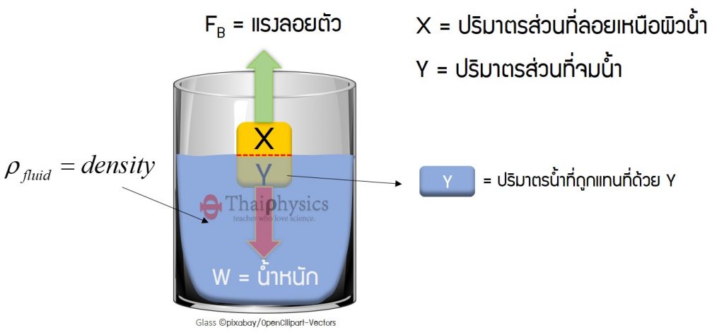 แรงลอยตัว (Buoyant Force)