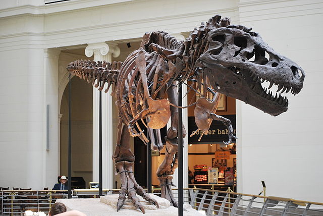 ไดโนเสาร์ T-Rex Sue
