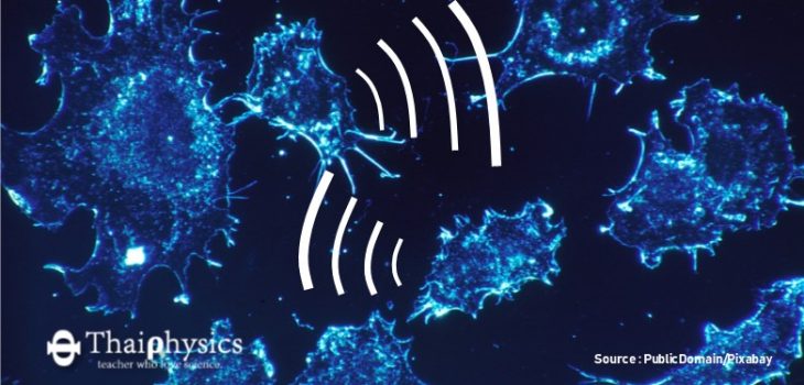ค้นพบเซลล์มะเร็งสื่อสารกันด้วย Exosomes