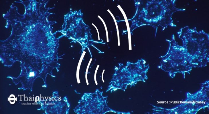 ค้นพบเซลล์มะเร็งสื่อสารกันด้วย Exosomes