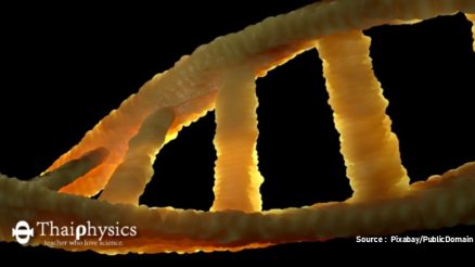 เทคนิคการแก้ไขจีโนมด้วย CRISPR